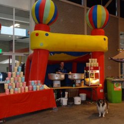 2e kerstdag zuidlaren