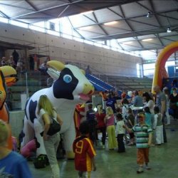 junior clubdag fc groningen