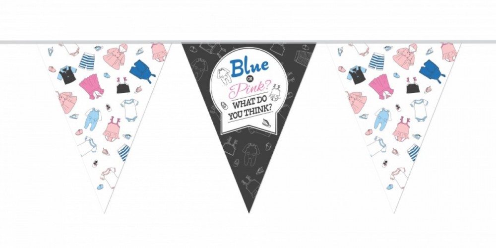 Vlaggenlijn Gender Reveal Blue or Pink 10 mtr